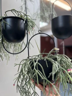 Potte med krog - Black