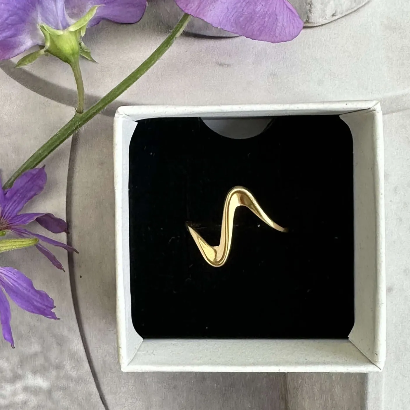 Ring Ida – Vandfast