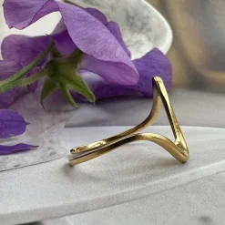 Ring Ida – Vandfast