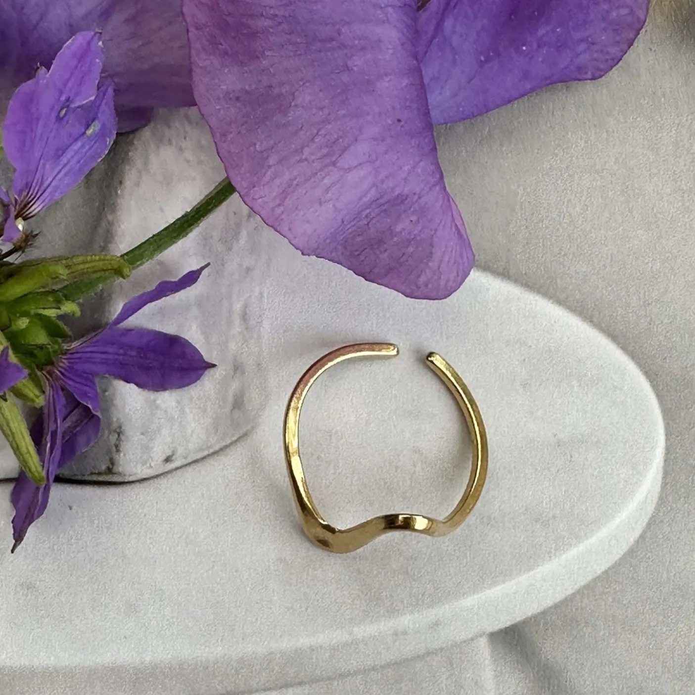 Ring Ida – Vandfast