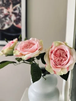 Rose 45cm – Pink