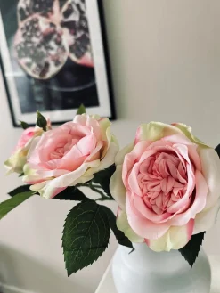 Rose 45cm – Pink