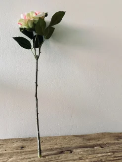 Rose 45cm – Pink