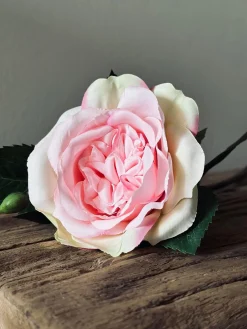 Rose 45cm – Pink
