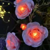 Rose med solceller - Rosa