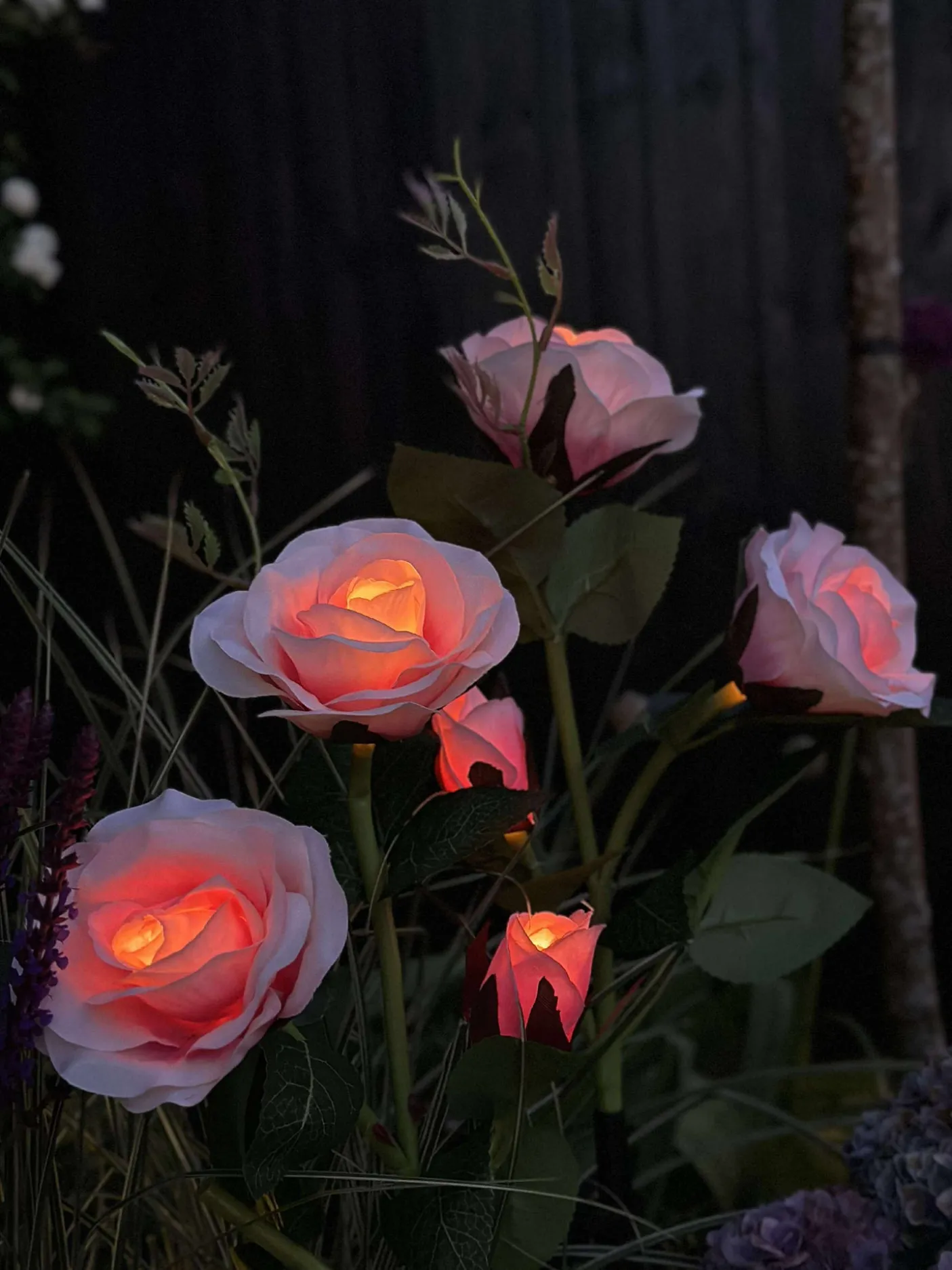 Rose med solceller - Rosa