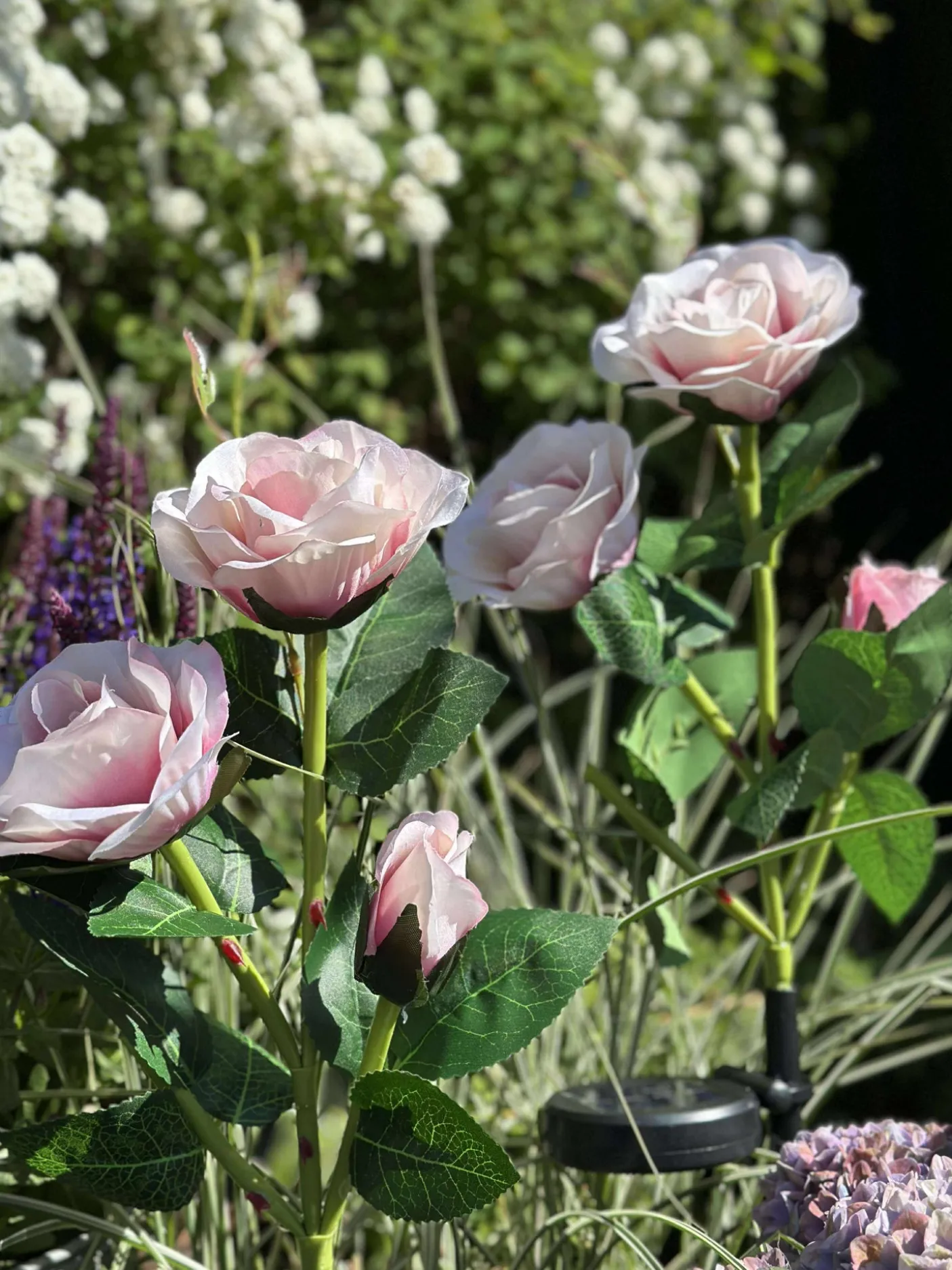 Rose med solceller - Rosa