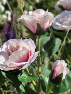 Rose med solceller - Rosa