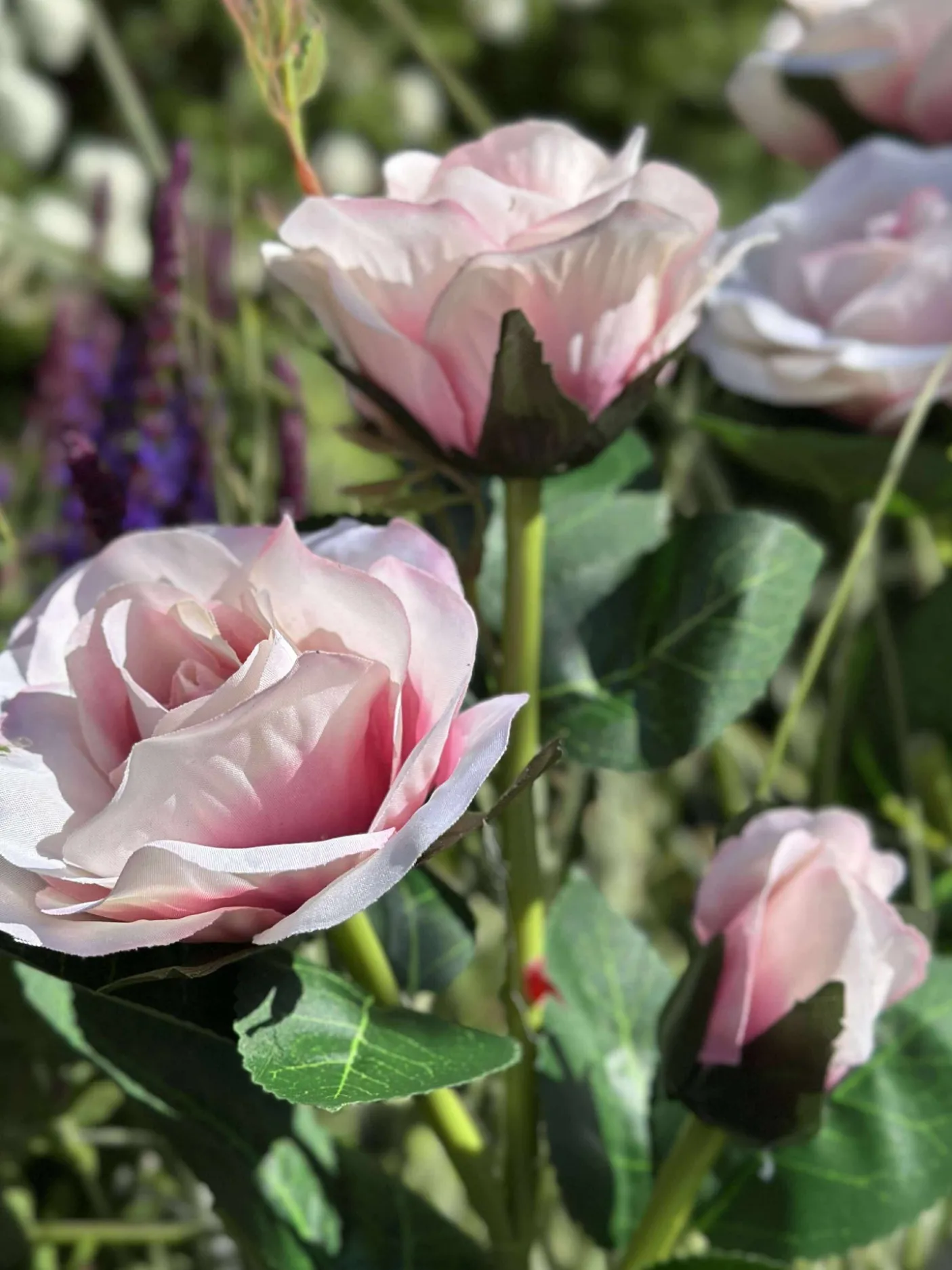 Rose med solceller - Rosa