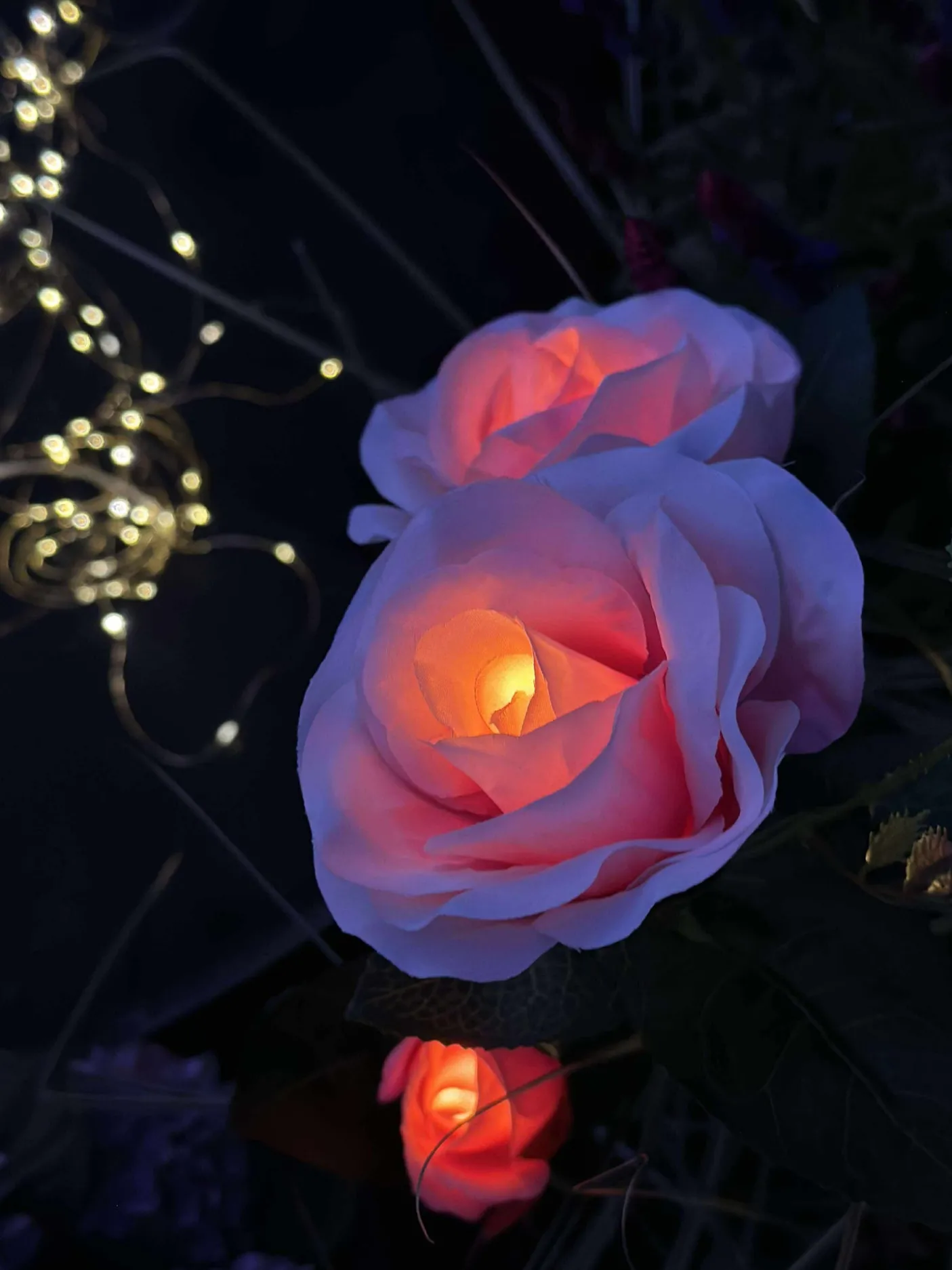 Rose med solceller - Rosa