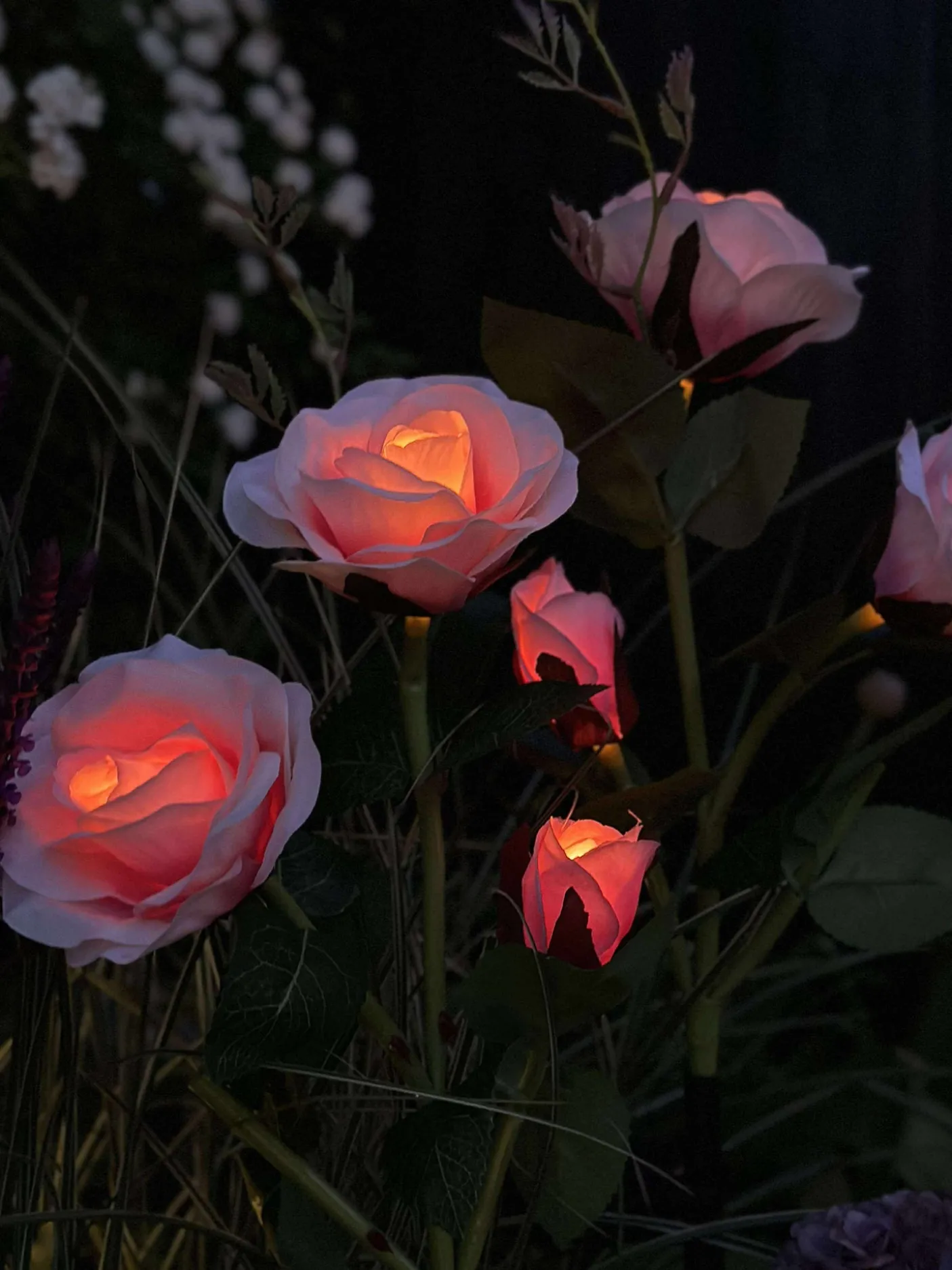 Rose med solceller - Rosa
