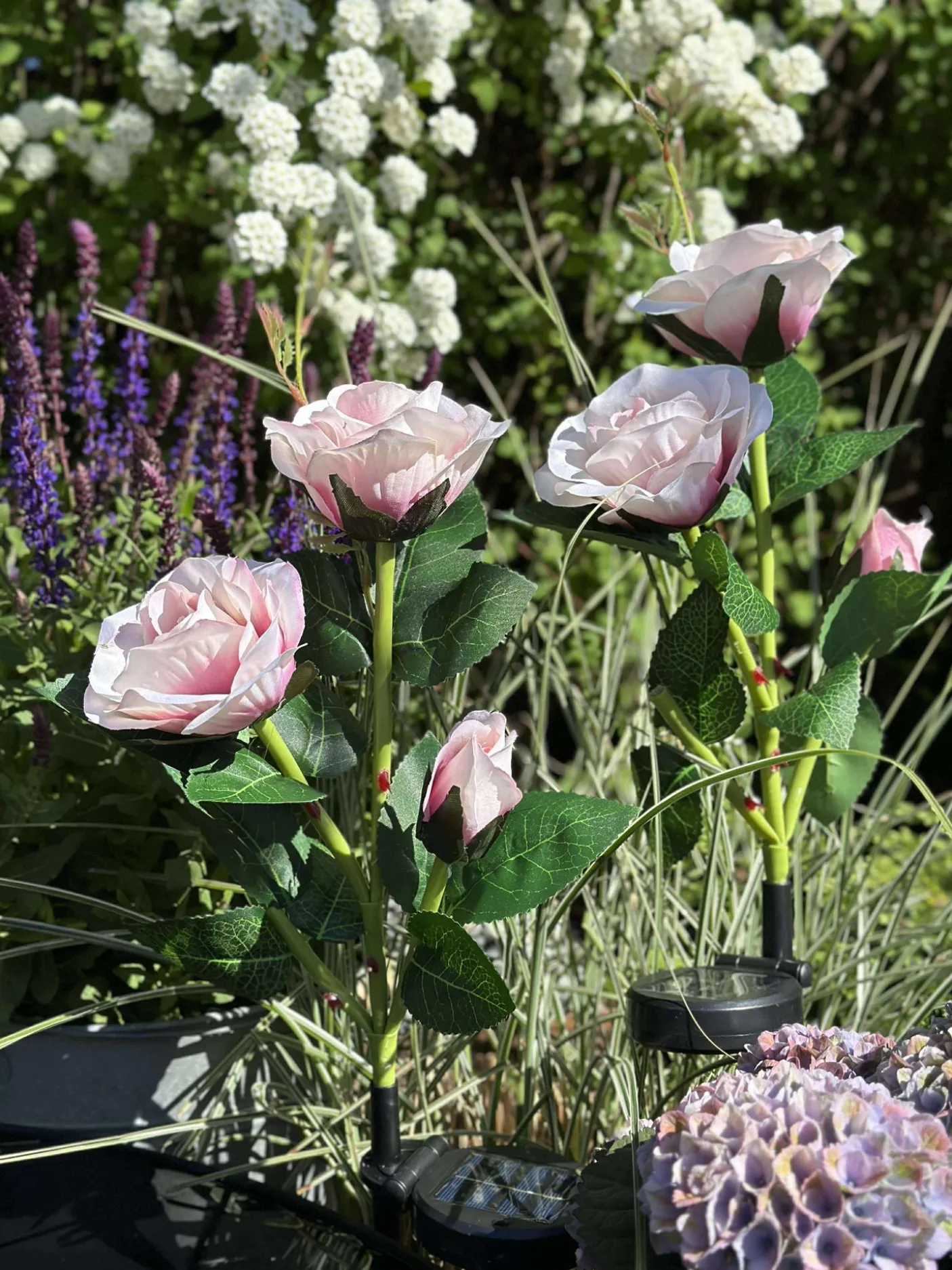 Rose med solceller - Rosa