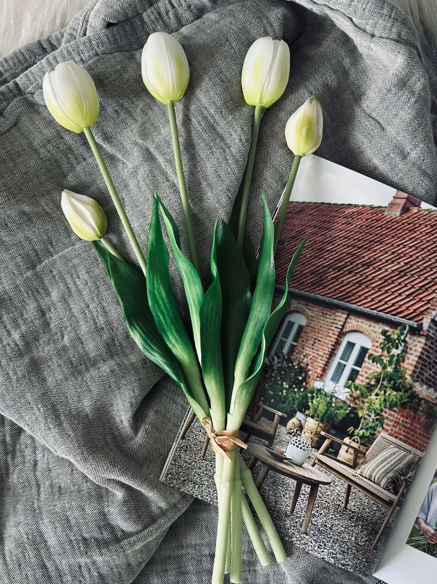 Tulipaner – Flere farver