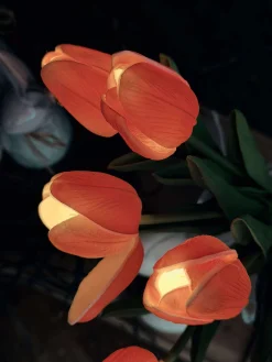Tulipaner med lys - Rød